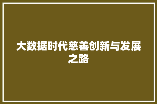 大数据时代慈善创新与发展之路
