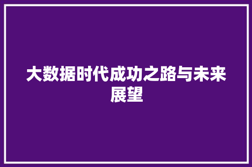 大数据时代成功之路与未来展望  第1张