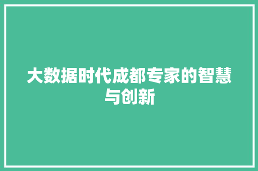 大数据时代成都专家的智慧与创新  第1张