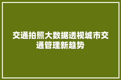 交通拍照大数据透视城市交通管理新趋势