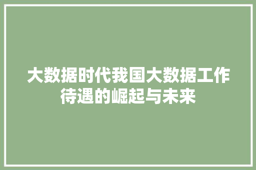 大数据时代我国大数据工作待遇的崛起与未来  第1张