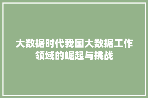 大数据时代我国大数据工作领域的崛起与挑战  第1张