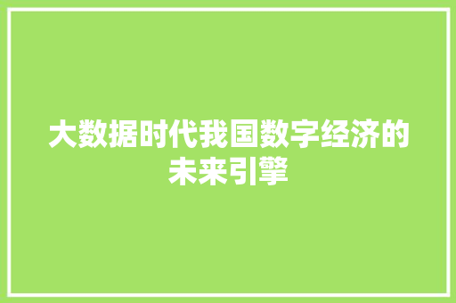 大数据时代我国数字经济的未来引擎  第1张