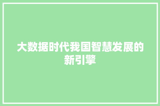 大数据时代我国智慧发展的新引擎