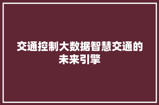 交通控制大数据智慧交通的未来引擎