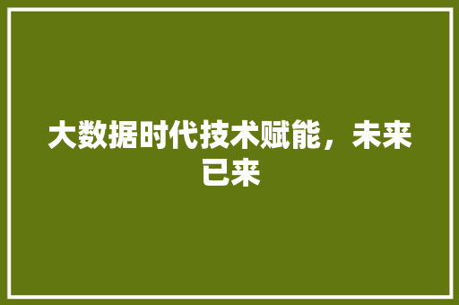 大数据时代技术赋能，未来已来  第1张
