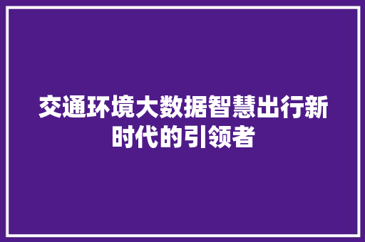 交通环境大数据智慧出行新时代的引领者