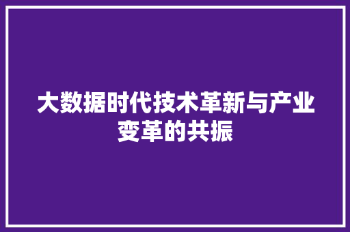 大数据时代技术革新与产业变革的共振