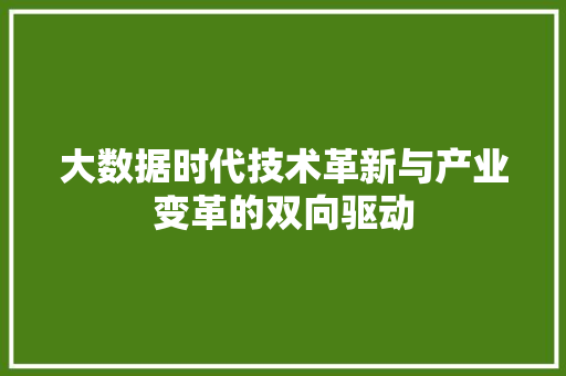 大数据时代技术革新与产业变革的双向驱动