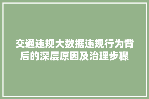 交通违规大数据违规行为背后的深层原因及治理步骤  第1张
