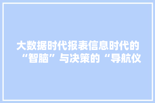 大数据时代报表信息时代的“智脑”与决策的“导航仪”