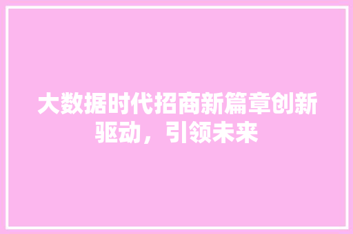 大数据时代招商新篇章创新驱动，引领未来  第1张