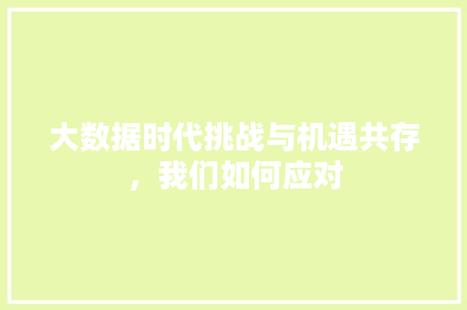 大数据时代挑战与机遇共存，我们如何应对  第1张
