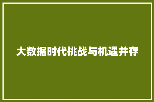 大数据时代挑战与机遇并存