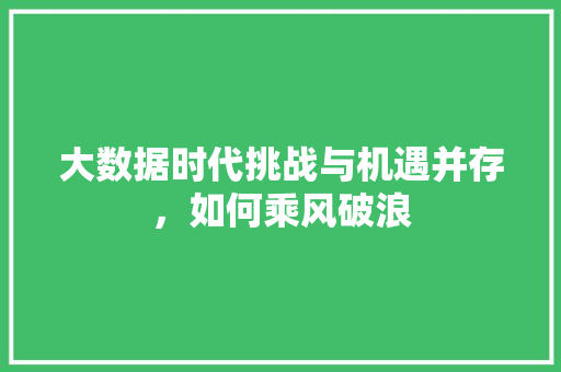 大数据时代挑战与机遇并存，如何乘风破浪  第1张