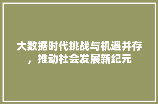 大数据时代挑战与机遇并存，推动社会发展新纪元  第1张