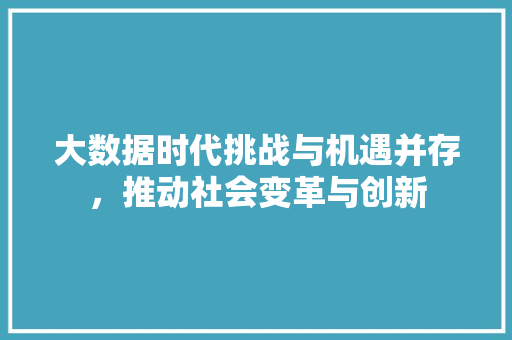 大数据时代挑战与机遇并存，推动社会变革与创新  第1张
