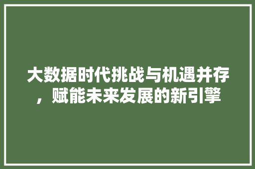 大数据时代挑战与机遇并存，赋能未来发展的新引擎  第1张