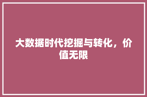 大数据时代挖掘与转化，价值无限  第1张