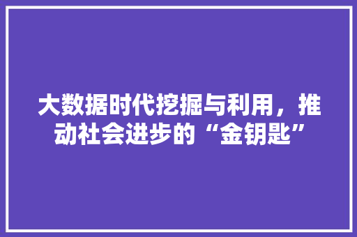 大数据时代挖掘与利用，推动社会进步的“金钥匙”