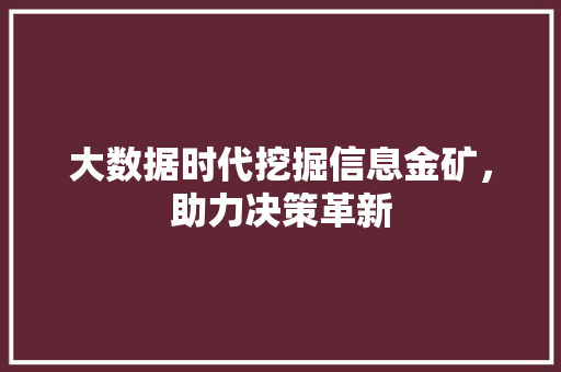 大数据时代挖掘信息金矿，助力决策革新  第1张