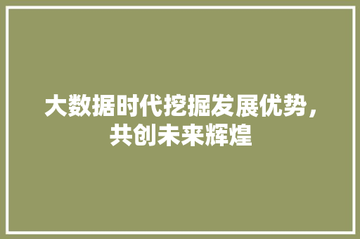 大数据时代挖掘发展优势，共创未来辉煌