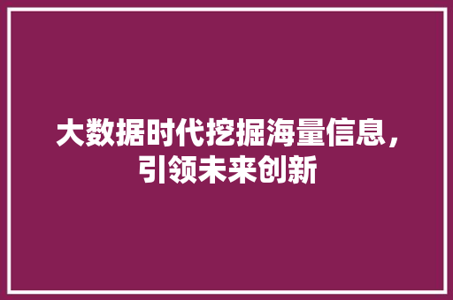 大数据时代挖掘海量信息，引领未来创新  第1张