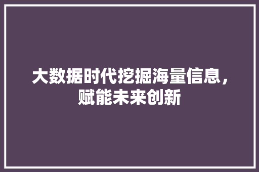 大数据时代挖掘海量信息，赋能未来创新  第1张