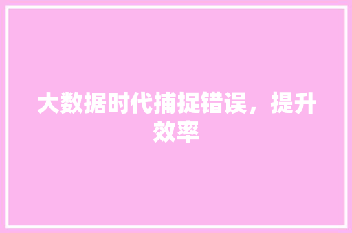 大数据时代捕捉错误，提升效率