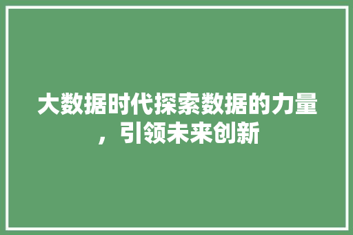 大数据时代探索数据的力量，引领未来创新  第1张