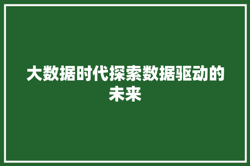 大数据时代探索数据驱动的未来  第1张