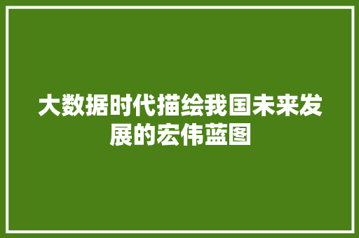 大数据时代描绘我国未来发展的宏伟蓝图  第1张