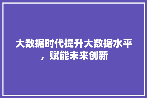 大数据时代提升大数据水平，赋能未来创新