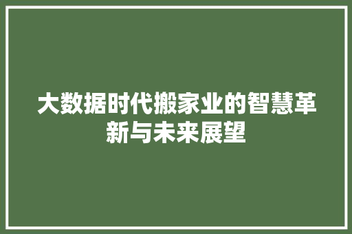 大数据时代搬家业的智慧革新与未来展望