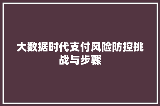 大数据时代支付风险防控挑战与步骤  第1张