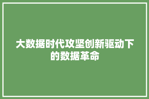 大数据时代攻坚创新驱动下的数据革命  第1张
