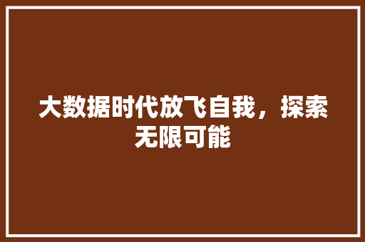 大数据时代放飞自我，探索无限可能  第1张