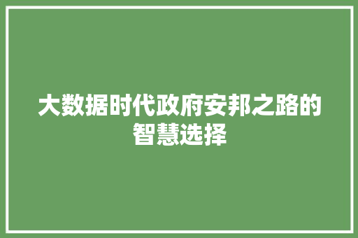 大数据时代政府安邦之路的智慧选择  第1张