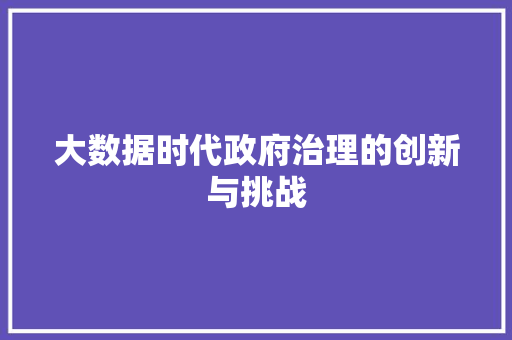 大数据时代政府治理的创新与挑战  第1张