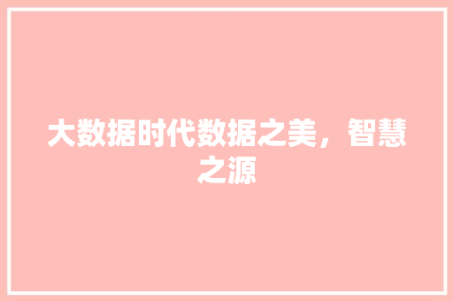 大数据时代数据之美，智慧之源
