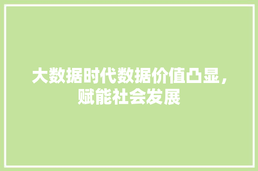 大数据时代数据价值凸显，赋能社会发展  第1张
