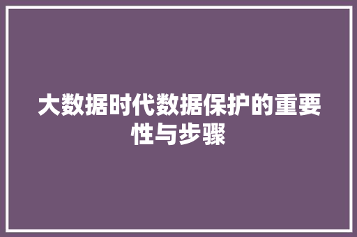 大数据时代数据保护的重要性与步骤