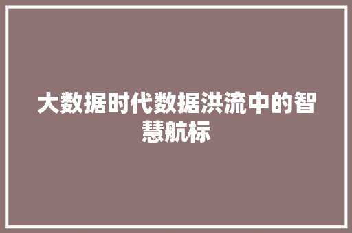 大数据时代数据洪流中的智慧航标  第1张