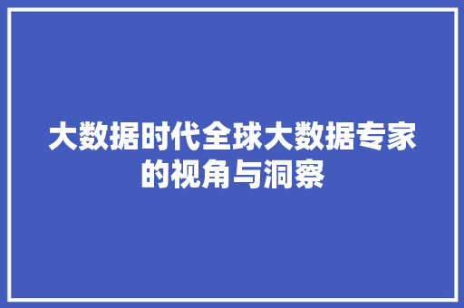 大数据时代全球大数据专家的视角与洞察