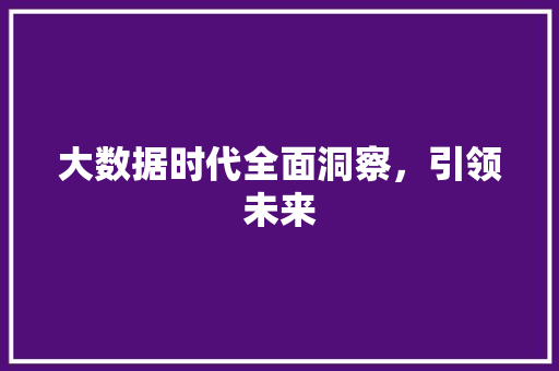 大数据时代全面洞察，引领未来  第1张