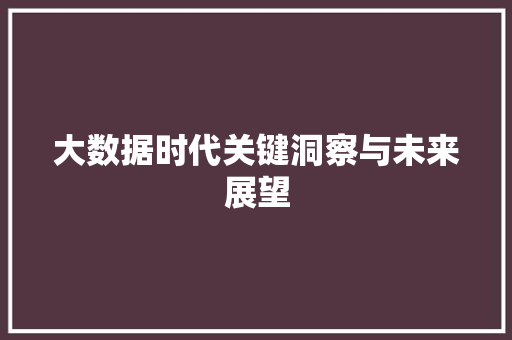 大数据时代关键洞察与未来展望  第1张
