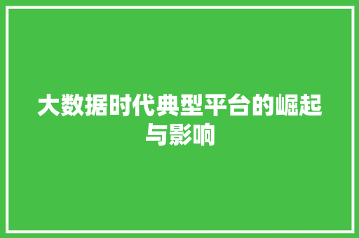 大数据时代典型平台的崛起与影响  第1张
