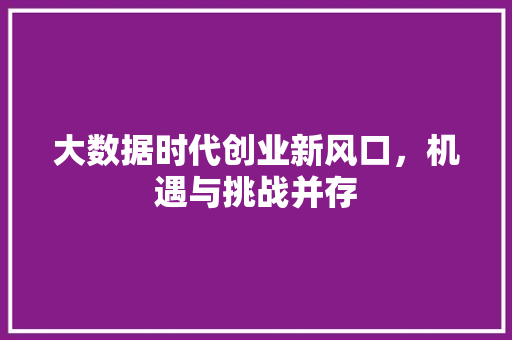大数据时代创业新风口，机遇与挑战并存  第1张