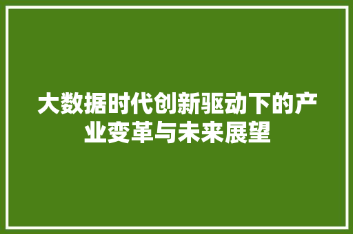 大数据时代创新驱动下的产业变革与未来展望  第1张