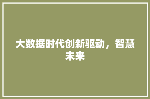 大数据时代创新驱动，智慧未来  第1张